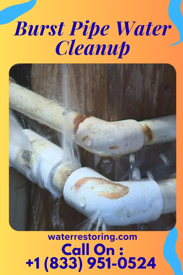 Burst Pipe Water Cleanup in Grantsboro, NC