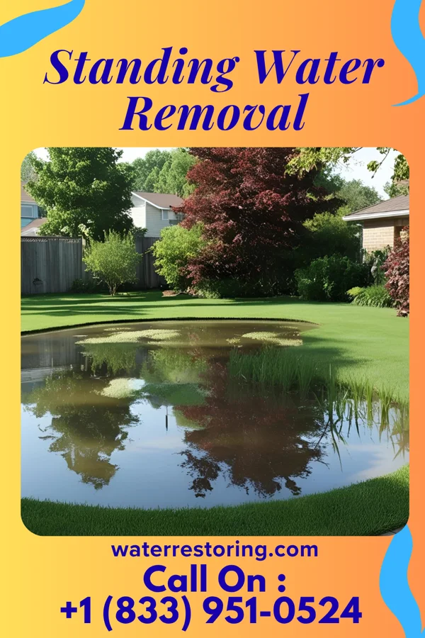 Standing Water Removal in Grantsboro, NC